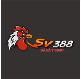 dailysv388luxe