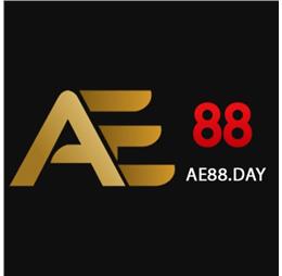 ae88daysite