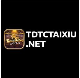 tdtctaixiunet