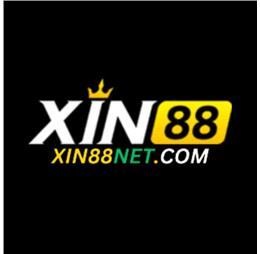 xin88netcom