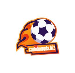 cadobongdabiz