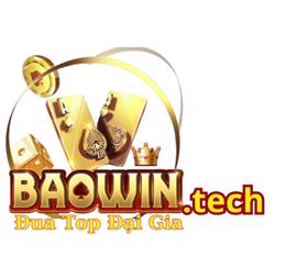 baowintech