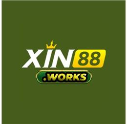 xin88works