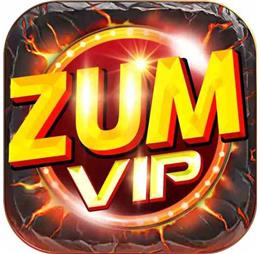 zumvipnet