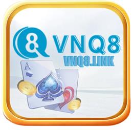 vnq8link