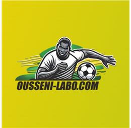 oussenilabocom