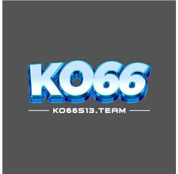 ko66s13team