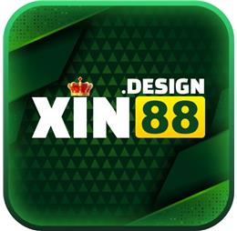 xin88design