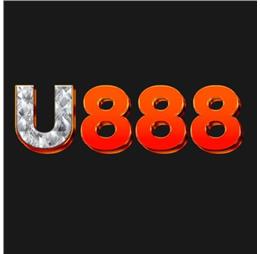 u8888art