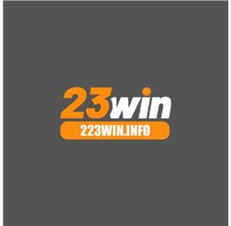 223wininfo