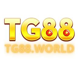 tg88world