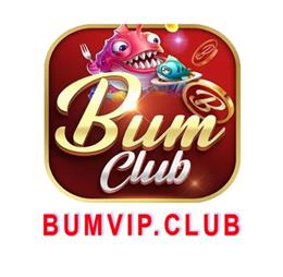 bumvipnet