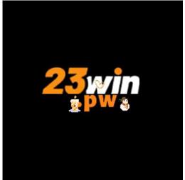 23winpwcom