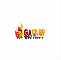 gavn99fun