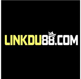 linkdu88com