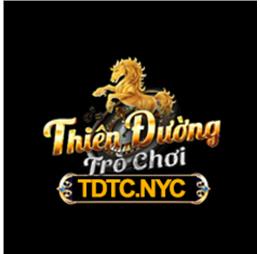 tdtcnyc