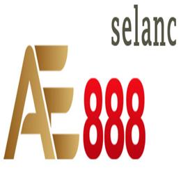 selancorg