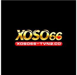 xoso66tvn2co