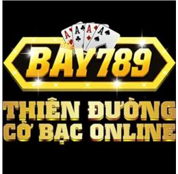 bay789tech