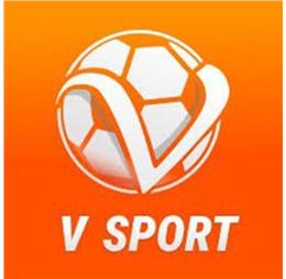 vsportvinleymarket
