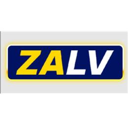 zalvskin