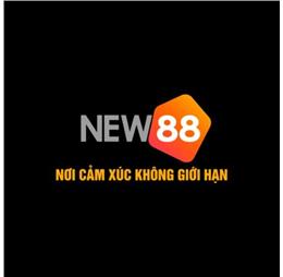new88land