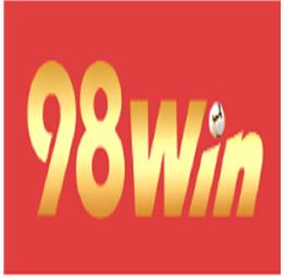 98wincomvin