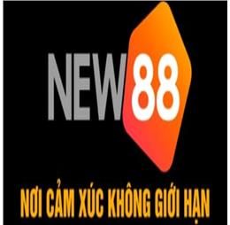 new88webcam