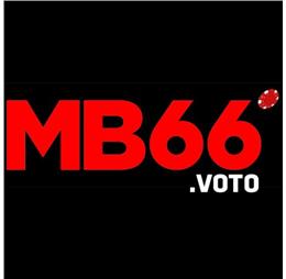 mb66voto