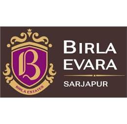 Birlaevara