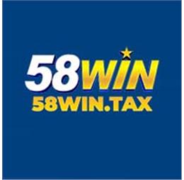 58wintax