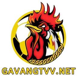 gavangtvvnet