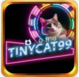 tinycat99org