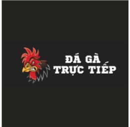 dagatructiep365com