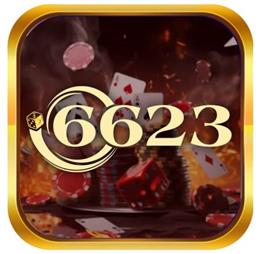 6623vnshop