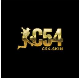 c54skin1