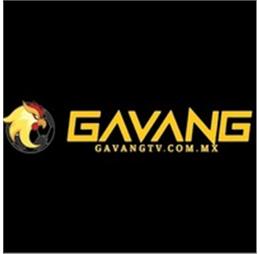 gavangtvcmx