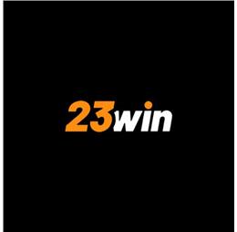 23winzinfo