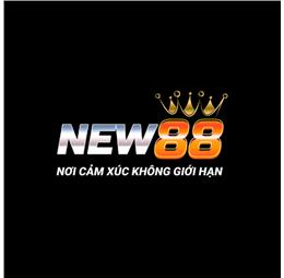 new88816