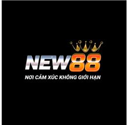 new88813