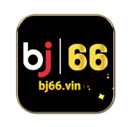 bj66vin