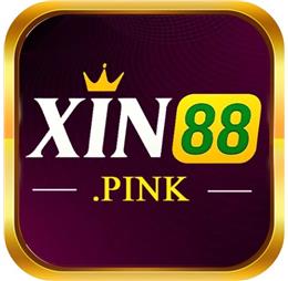 xin88pink