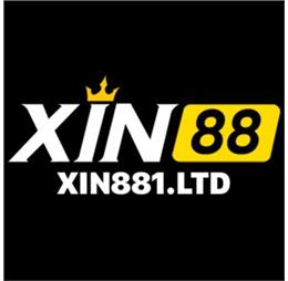 xin881ltd