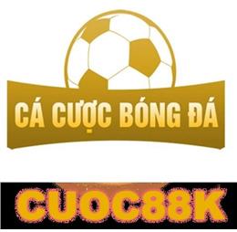cacuocbongdainfo1