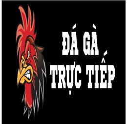 dagatructiep88tv