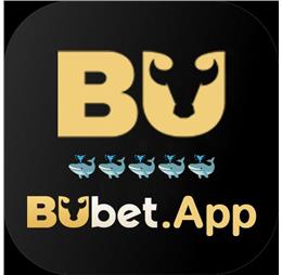 bubetapp11
