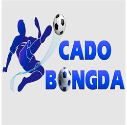 dangkytycacuocbongda