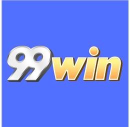 99winusorg