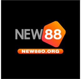 new88oorg