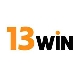 13windesign